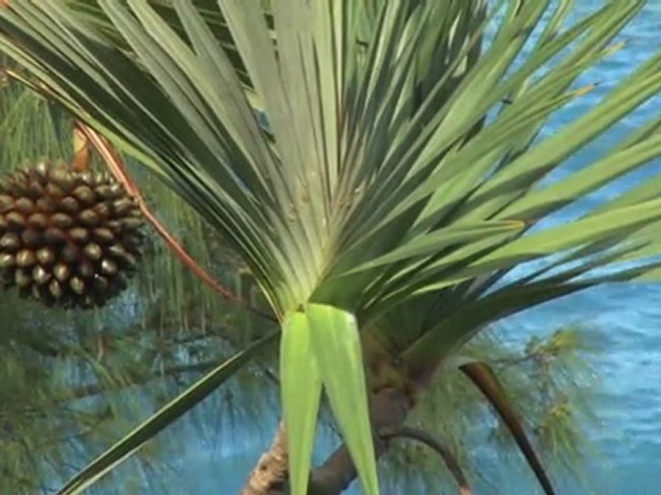 Découvrez la réunion