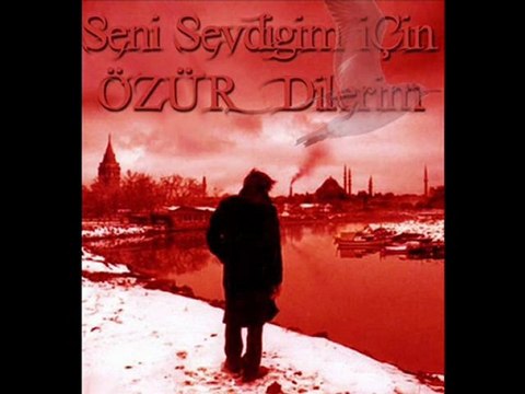 SEN GURBET UYKULARINI BİLMEZSİN-ARİF NAZIM