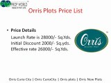 Orris Curiocity |Orris Curiocity Noida
