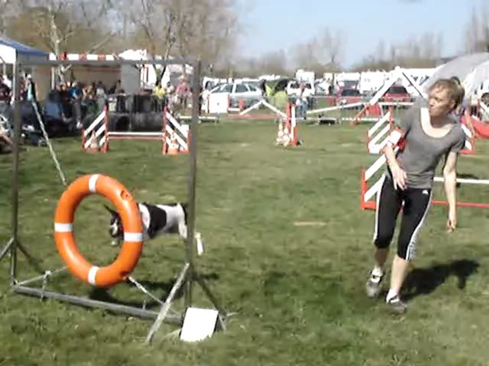 Concours agility Auch