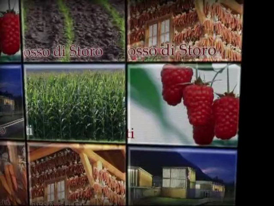 Farina Gialla di Storo Piccoli Frutti Trentino Ortaggi Mirtillo Gigante Ribes Cavolo Cappuccio
