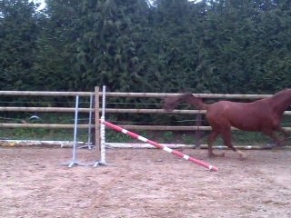 VID-20120320-00000