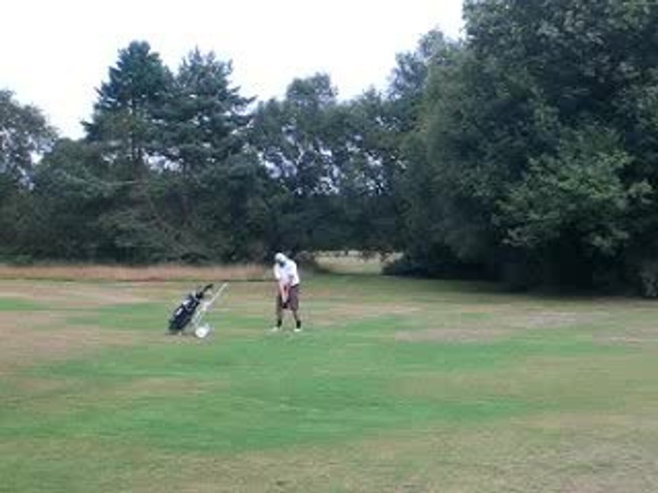 Ajoncs d or 2006 Alain Pitch