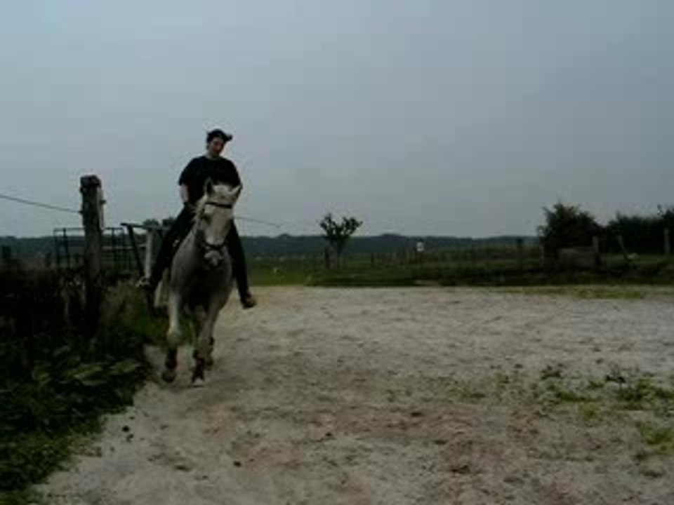 PICT0751