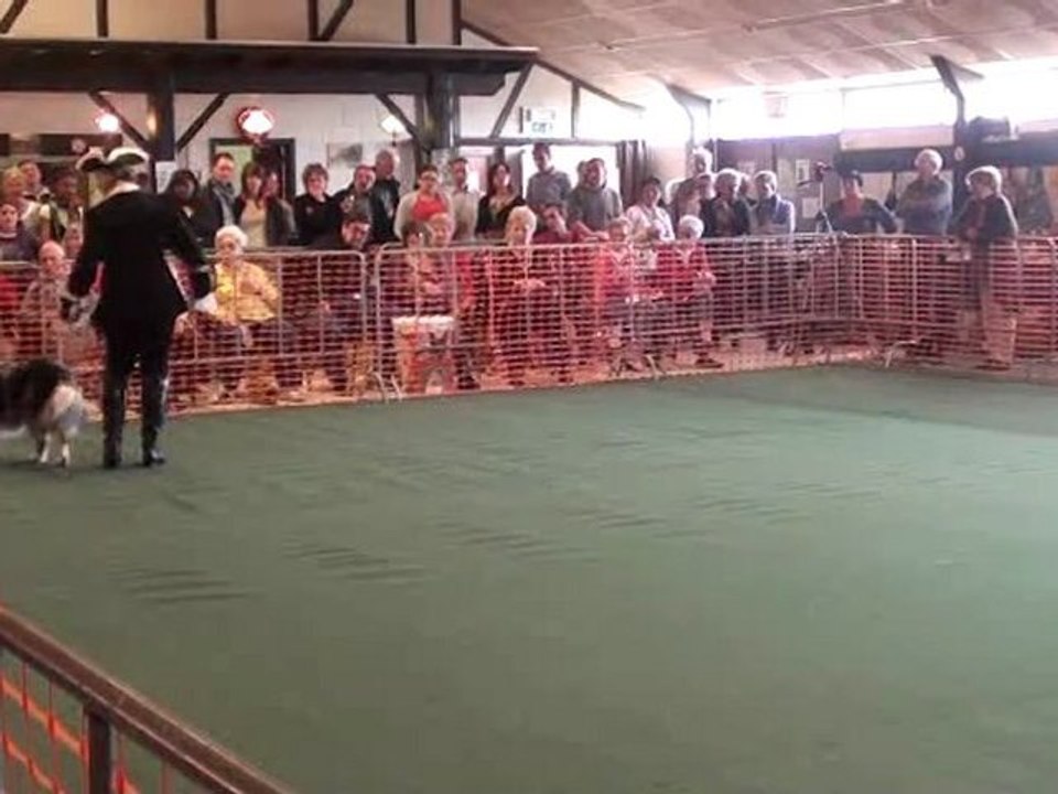 20120325133443