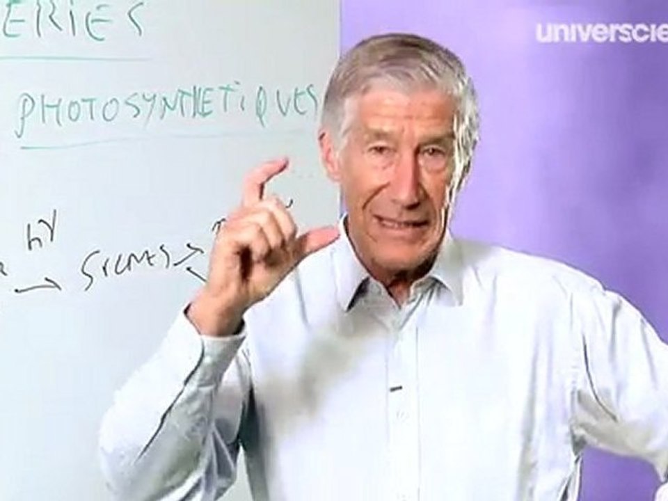Les biocarburants