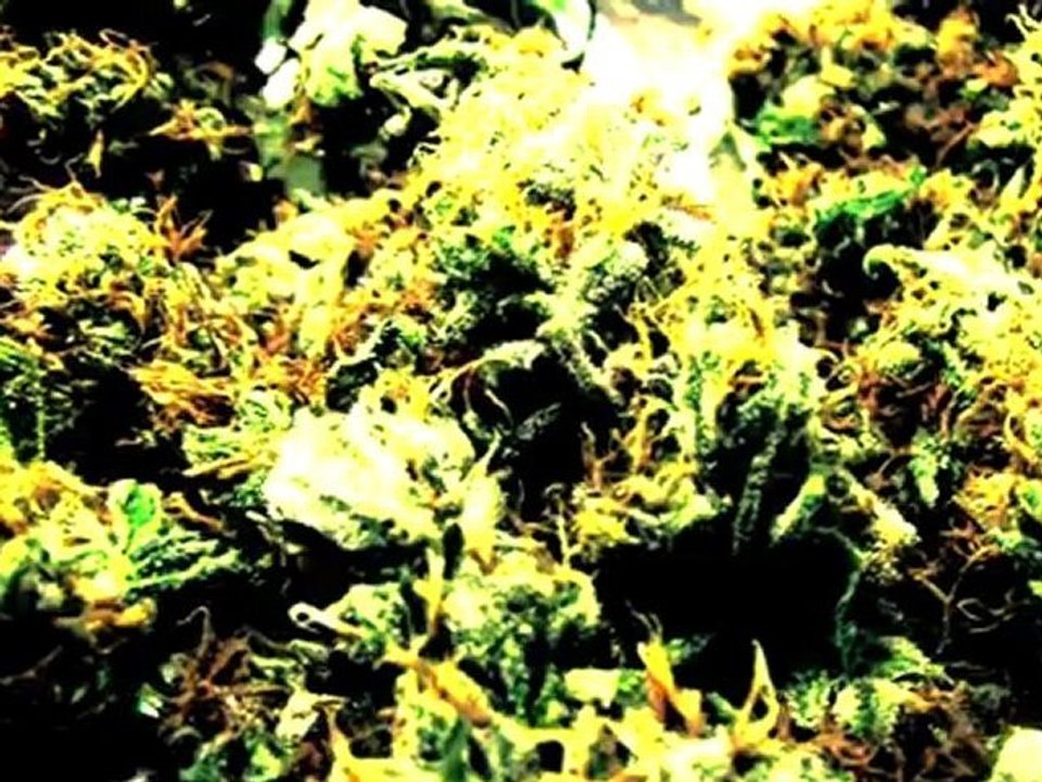 Keros-n - Marie (Slim VideoZ)