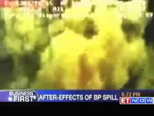 Enduring images BP oil spill one year later