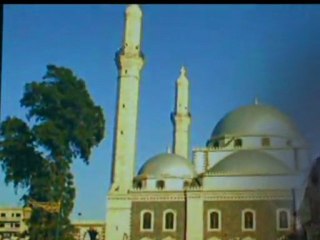 Çeşitli Sanatçılar - Bağrımda Biten Başlar