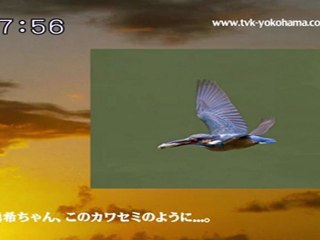 sakusaku 120326 4 勇希ちゃん、このカワセミのように･･･、の巻