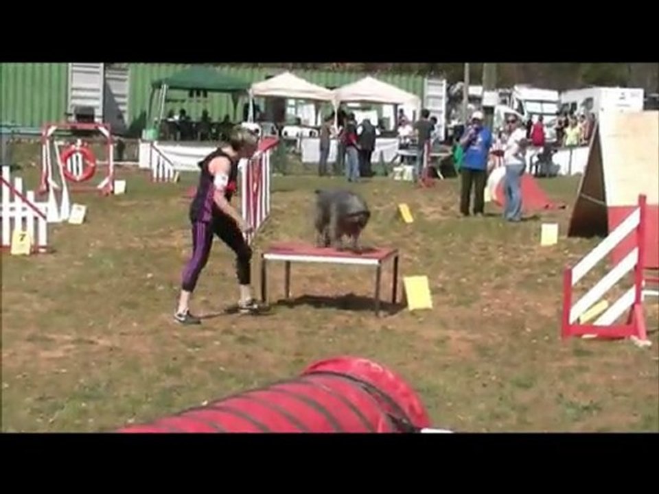 Buck Agility Roquefure 25/03/12
