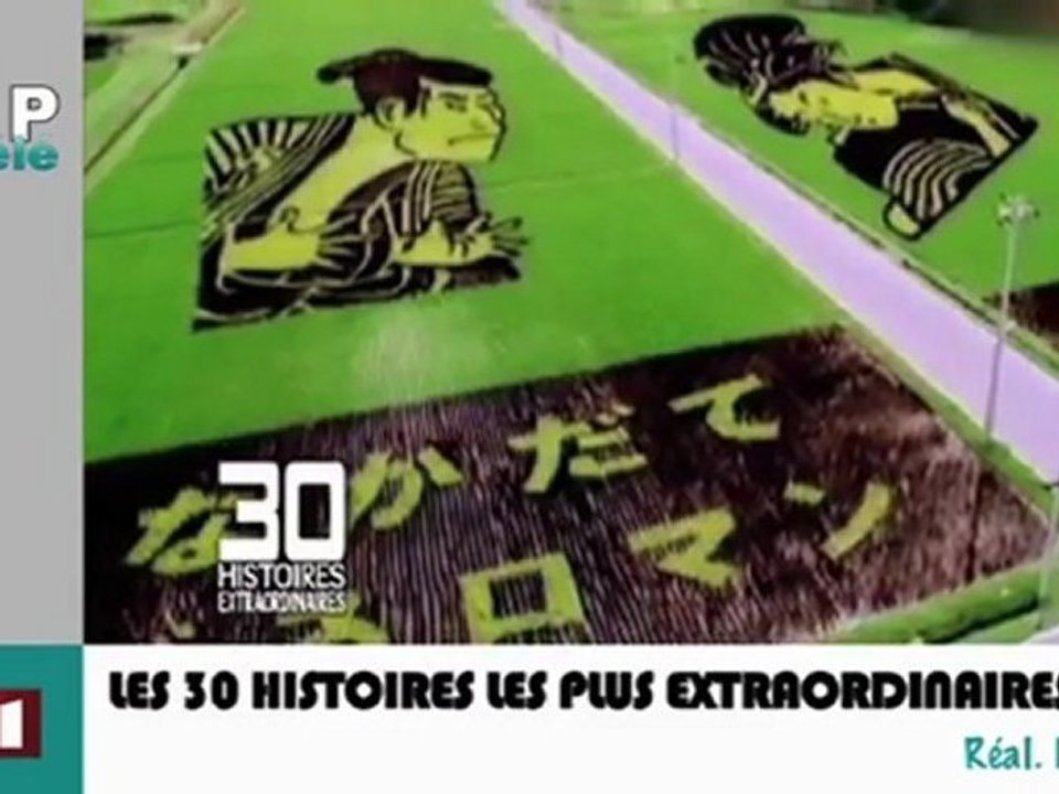 Zapping télé du 26/03/12 - L'oigami sur papier toilette, une prothèse pour éléphant...