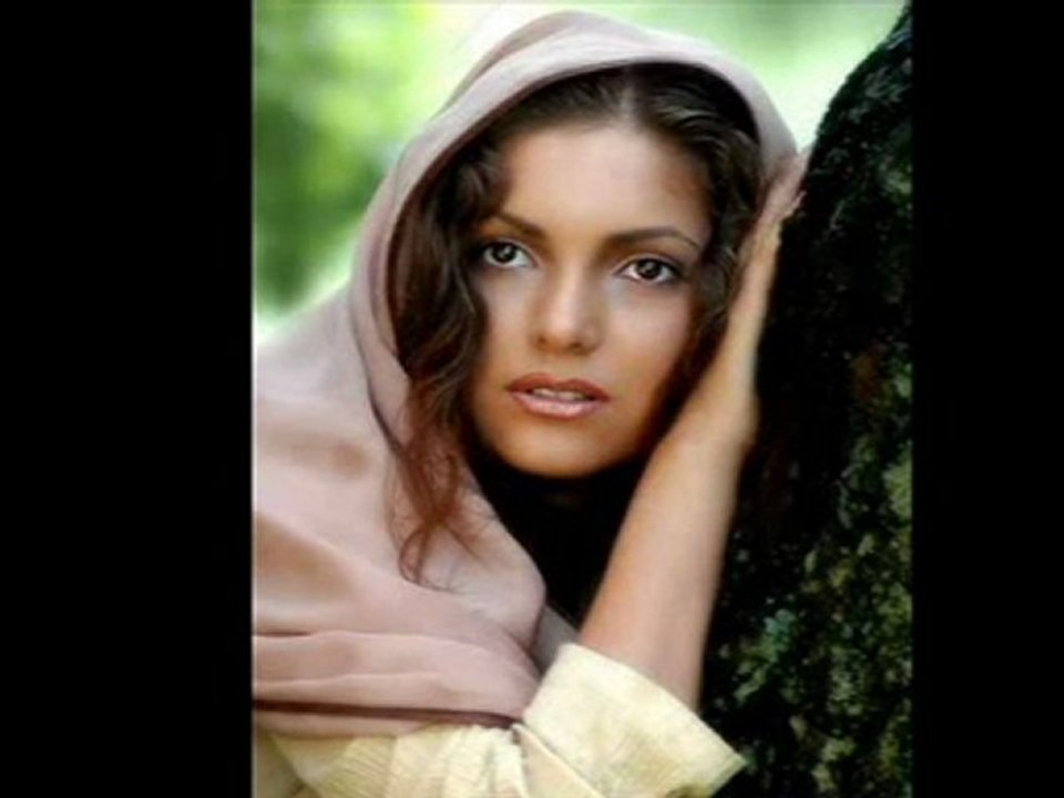 Susan Schubert - Nie vergess ich unsere Nacht