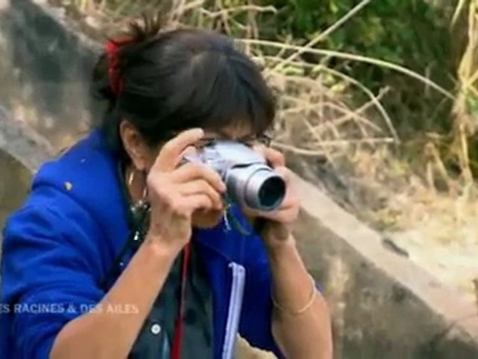 Des racines et des ailes - La France au fil de l'eau  - Passage Brenne (FR3 2011)