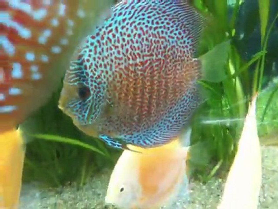 respiration rapide 057