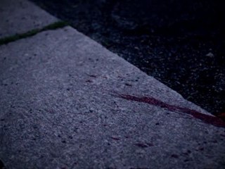 ViRGO a.k.a. HAMMER : NEW DOG CITY