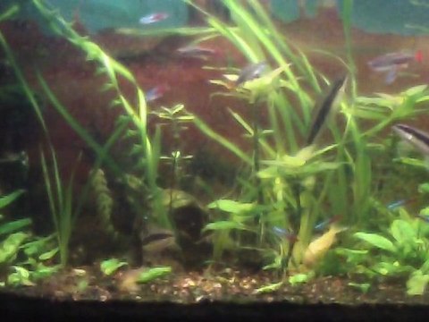 Continuons la fete au piano.. Méth. COLIN