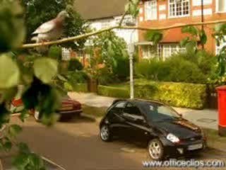 vaccin contre le h5n1