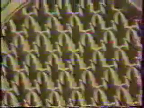 Abdelbasset Abdessamad عبد الباسط عبد الصمد