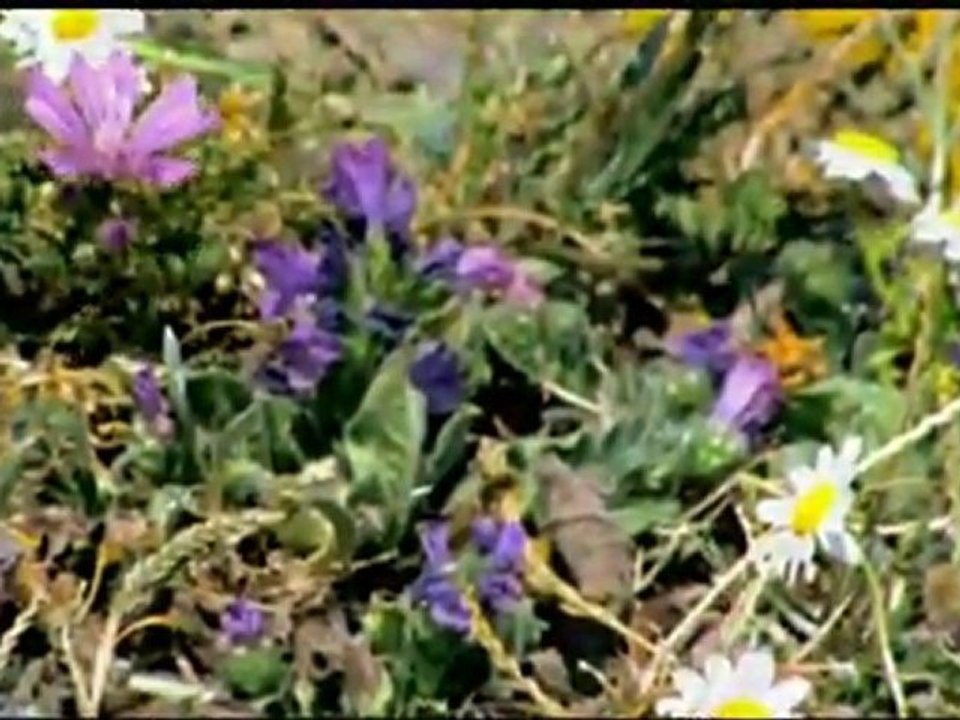 Hüseyin Uğurlu - Ahu Gözlüm