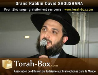 rav-David-SHOUSHANA__Pessah-Voyage-vers-le-Futur-avec-rav-Itshak-Hutner.mp3