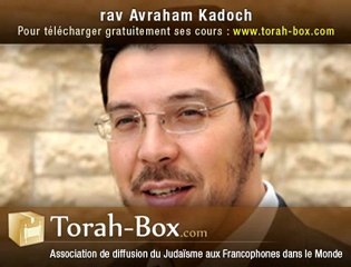 rav-Avraham-KADOCH__Paracha-Chelah_Consequence-de-la-faute-des-espions.mp3