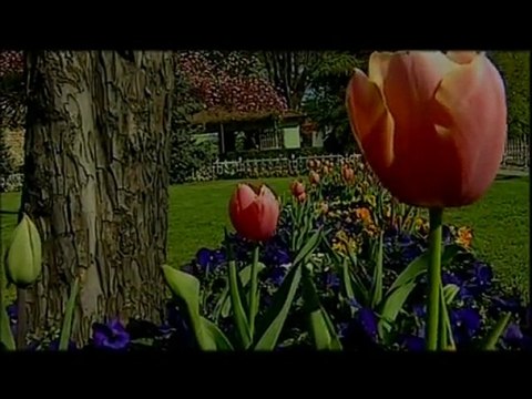 Uğur Karakuş - Ezdirmem Seni