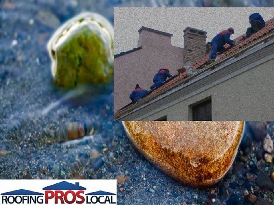 Immokalee Florida Roofing Contractor