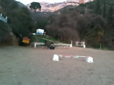 Gabelou saut en liberté