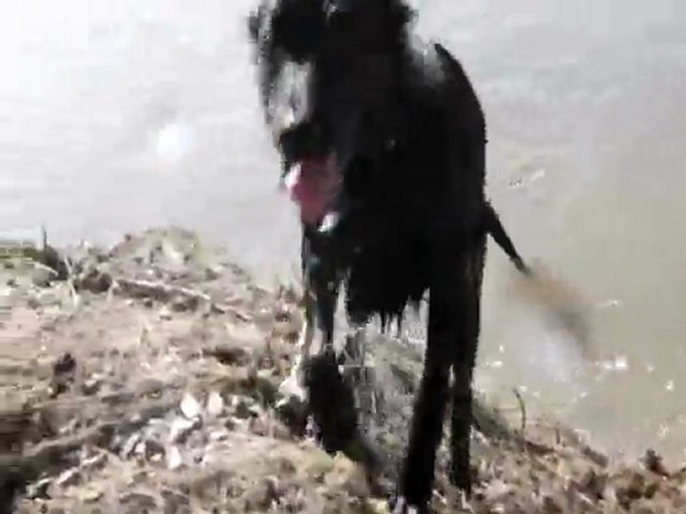 GOLEM DE LA HORDE D'ARTEMIS fait ses premières brasses...