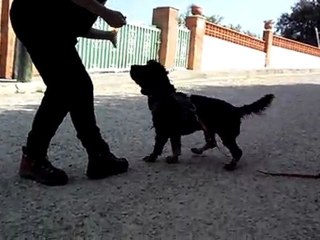 Las manos no se comen