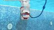 Limpiafondos automatico de piscina  Dolphin Active en Piscinas Mundo Acuatico