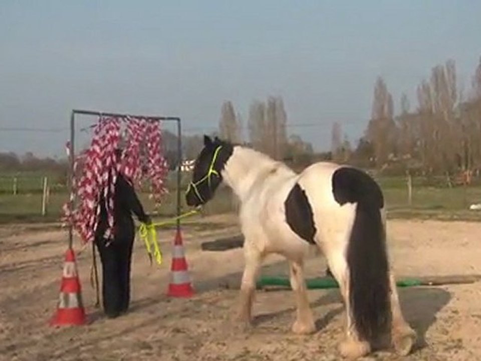 24.03.2012.a.tinker