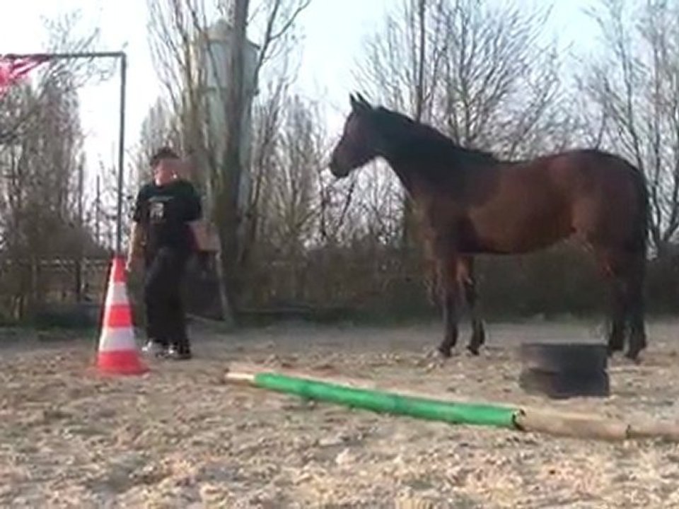 24.03.2012.s.tliloa