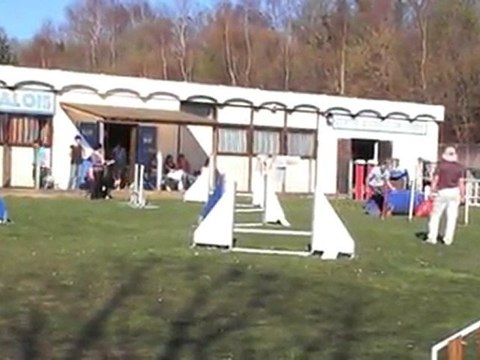 Cooky Jumping - Pau 25032012