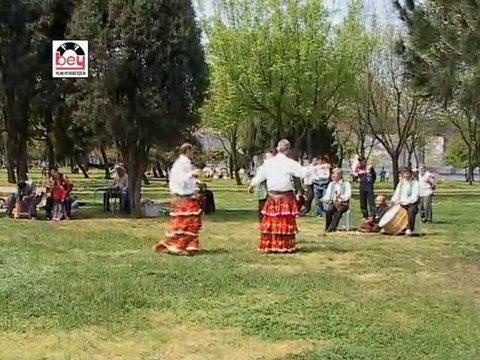 Çeşitli Sanatçılar - Sarı Yazma