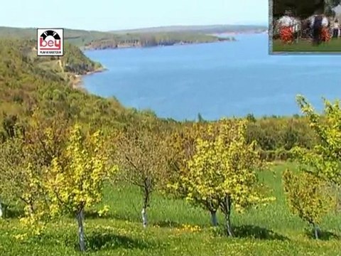 Çeşitli Sanatçılar - Kavur Balıkları