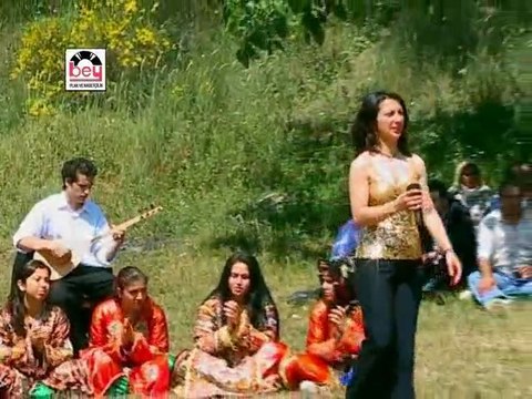 Çeşitli Sanatçılar - Gülizar