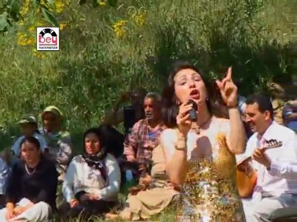 Çeşitli Sanatçılar - Diyardan Diyara