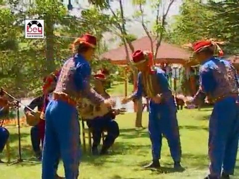 Çeşitli Sanatçılar - Leblebici