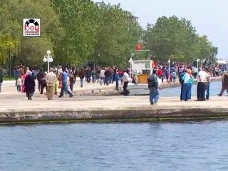 Çeşitli Sanatçılar - Yeşil Ördek