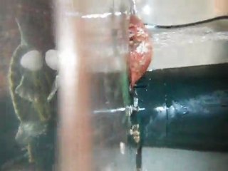 kevin bacon & michael jordan