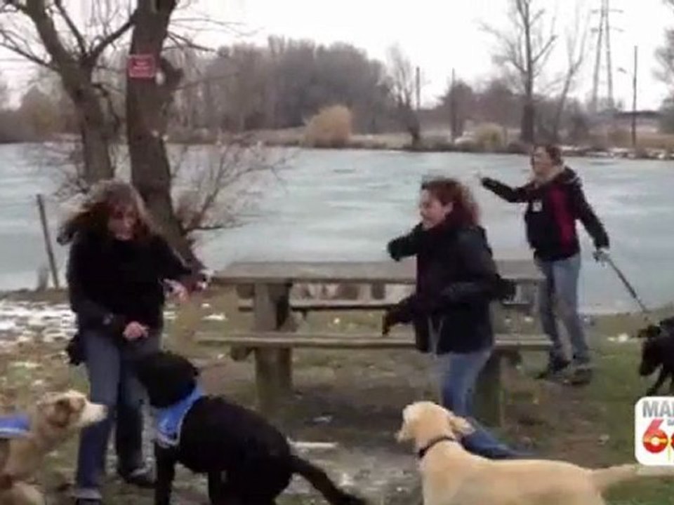 Maëva, ses amies et ses chiens