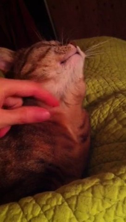 21 03 12 Glitch Floquette 03