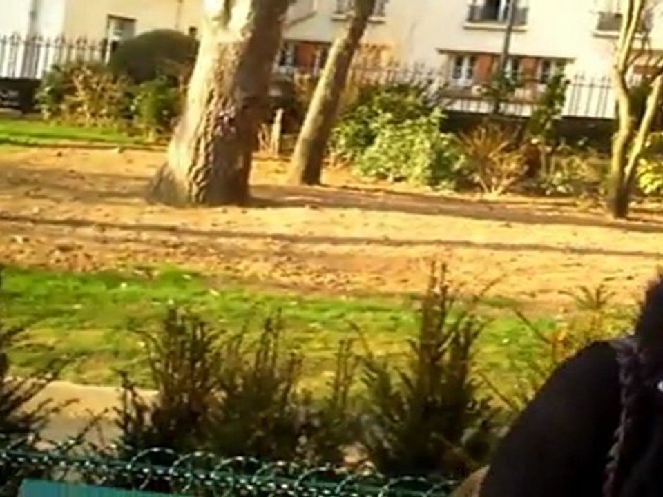 L'officiel clip