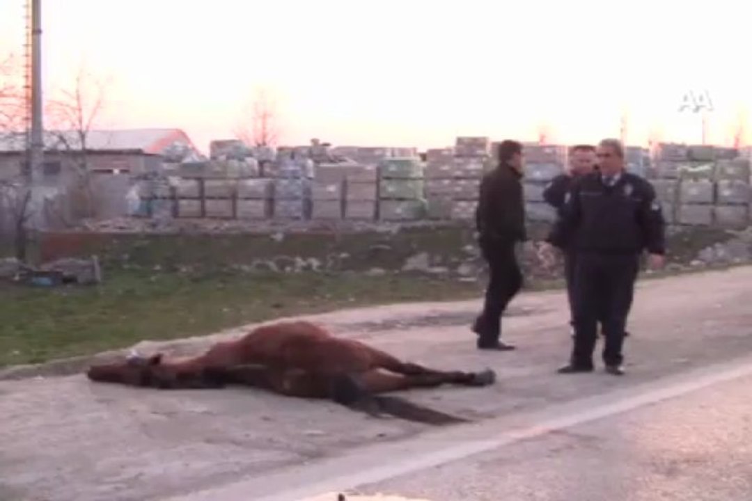 Polislerden ''at'' nöbeti