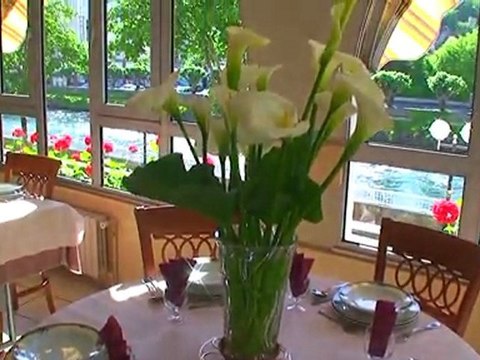 Hotel Lourdes, Restaurant Lourdes, chambres 3 étoiles : Hôtel Saint Georges