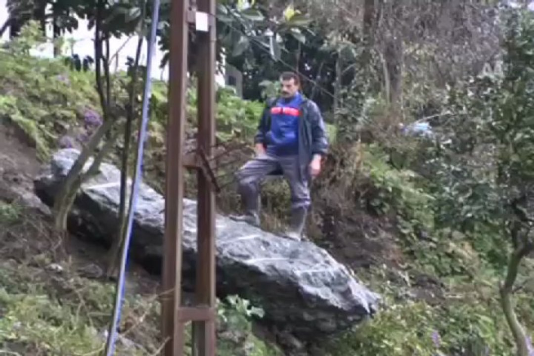 Ağaca bağlı kaya