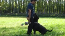 Apport, primeros pasos, apport training