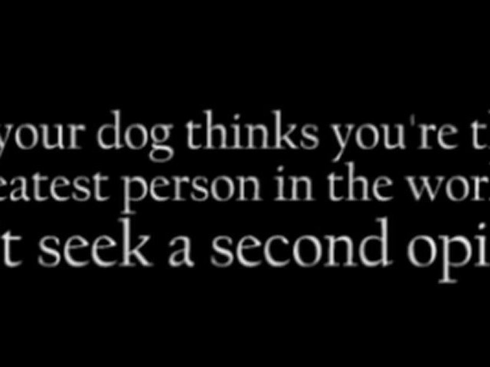 If your dog thinks you're the greatest person